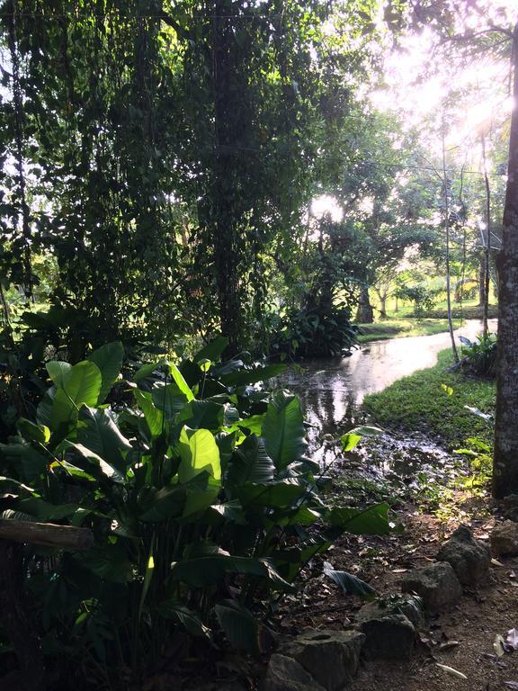 Finca Vallescondido El Caobano المظهر الخارجي الصورة