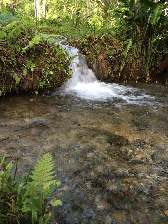 Finca Vallescondido El Caobano المظهر الخارجي الصورة
